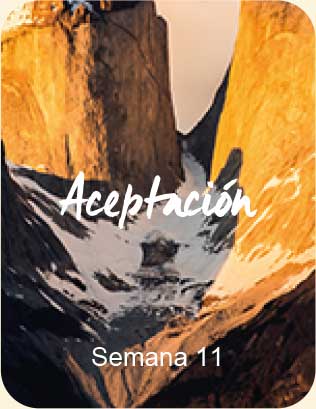 Meditacion guiada - Aceptacion