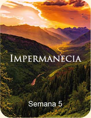 Meditacion guiada - Impermanecia