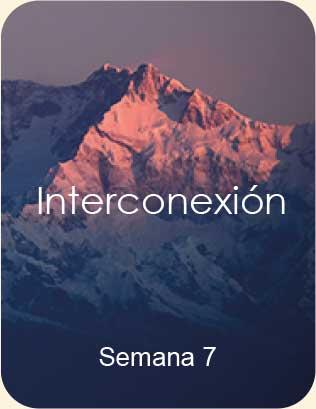 Meditacion guiada - Interconexion